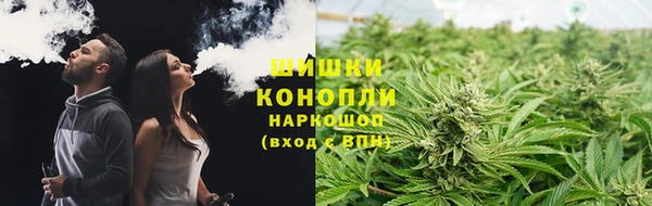 ПСИЛОЦИБИНОВЫЕ ГРИБЫ Арсеньев