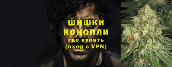 ПСИЛОЦИБИНОВЫЕ ГРИБЫ Арсеньев