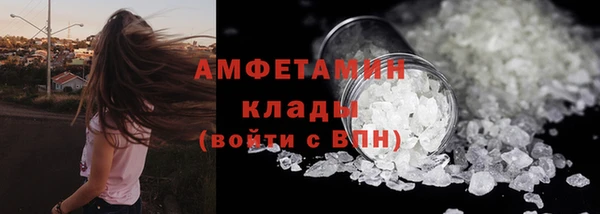 ПСИЛОЦИБИНОВЫЕ ГРИБЫ Арсеньев