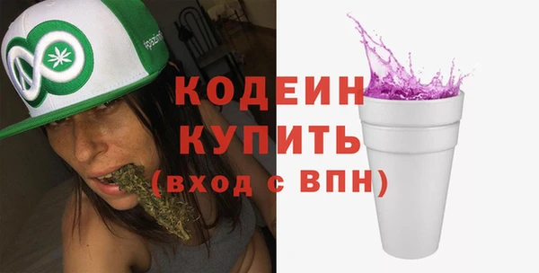 ПСИЛОЦИБИНОВЫЕ ГРИБЫ Арсеньев