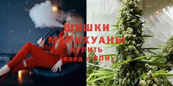 ПСИЛОЦИБИНОВЫЕ ГРИБЫ Арсеньев